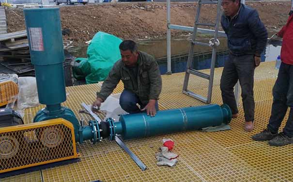 羅茨蜜桃视频网站APP安裝與調試