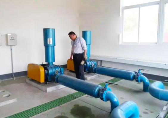 汙水處理羅茨蜜桃视频网站APP