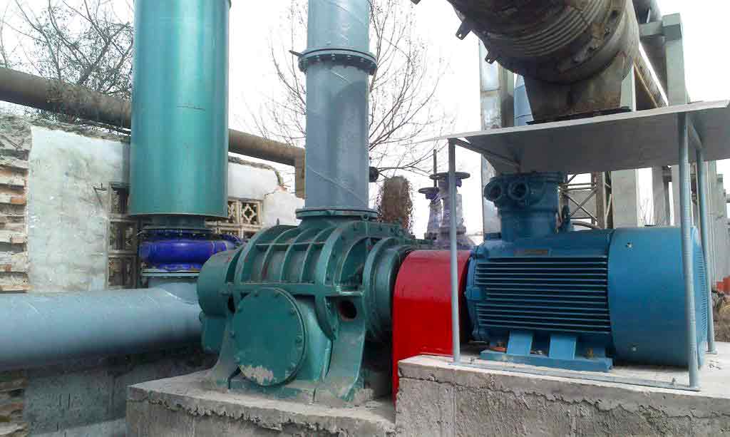 電廠用羅茨鼓蜜桃视频网站APP案例