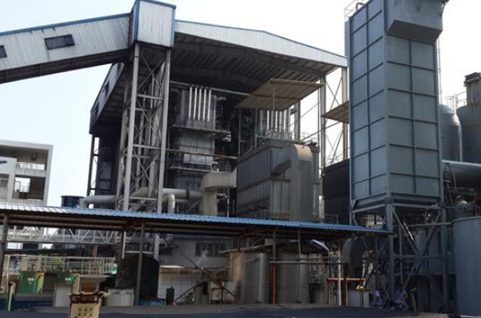 電廠用羅茨鼓蜜桃视频网站APP案例