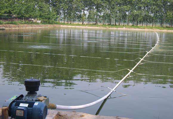 水產養殖行業用羅茨蜜桃视频网站APP案例
