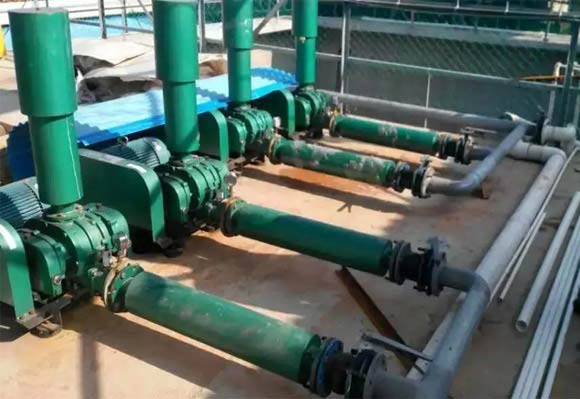 汙水處理用三葉羅茨鼓蜜桃视频网站APP案例