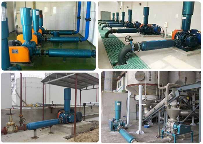 皮帶傳動羅茨蜜桃视频网站APP案例