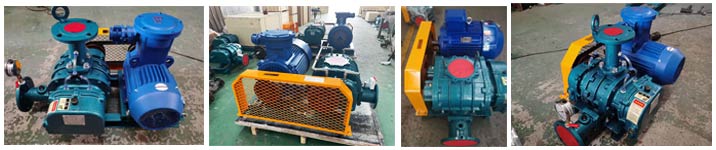 沼氣輸送羅茨蜜桃视频网站APP