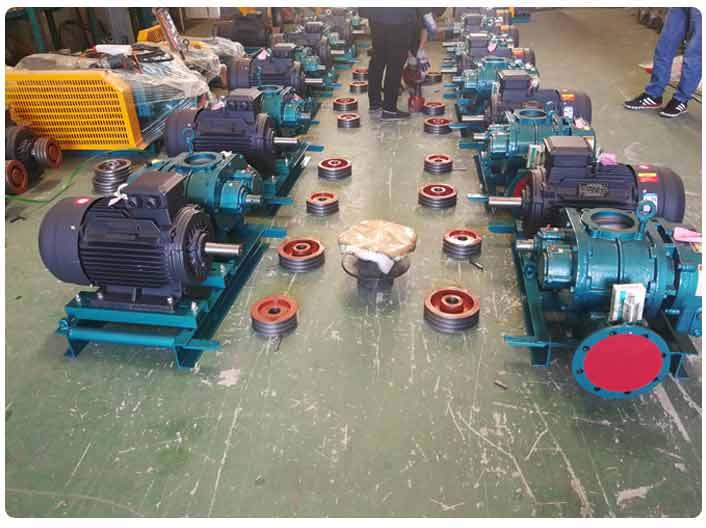 羅茨蜜桃视频网站APP廠家實拍