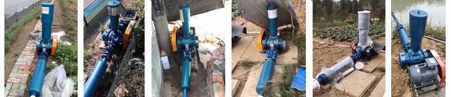 水產養殖羅茨蜜桃视频网站APP部分案例