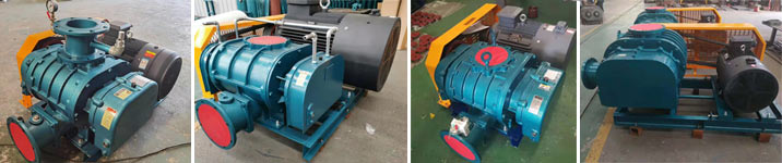 羅茨蜜桃视频网站APP廠家-羅茨蜜桃视频网站APP廠家哪家好，質量是關鍵(圖3)