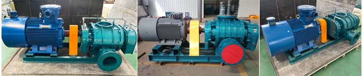 直聯傳動羅茨蜜桃视频网站APP