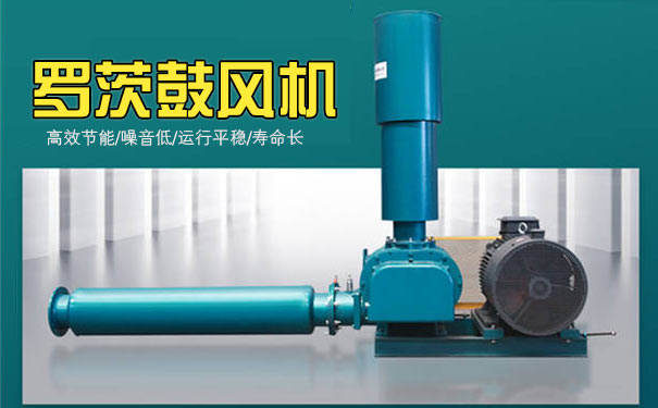 羅茨蜜桃视频网站APP