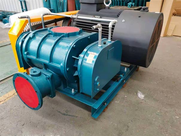 高壓水冷羅茨蜜桃视频网站APP工廠實拍圖