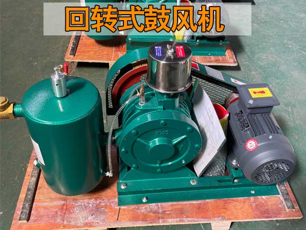 回轉式鼓蜜桃视频网站APP