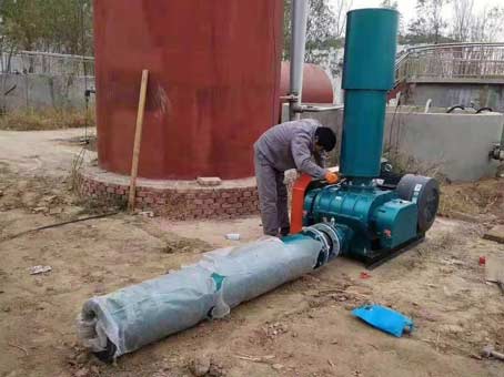 羅茨蜜桃视频网站APP