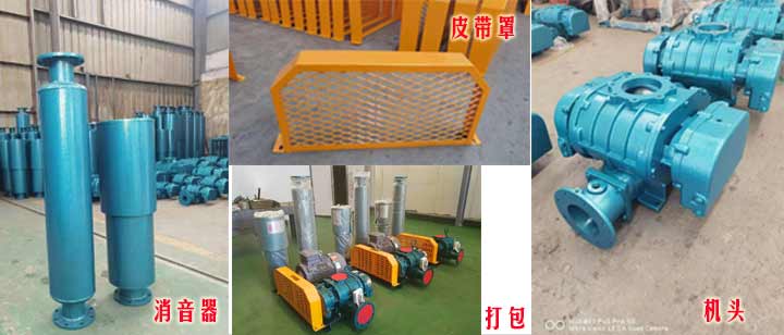 三葉羅茨蜜桃视频网站APP（皮帶型）實拍