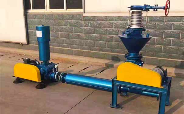 羅茨鼓蜜桃视频网站APP