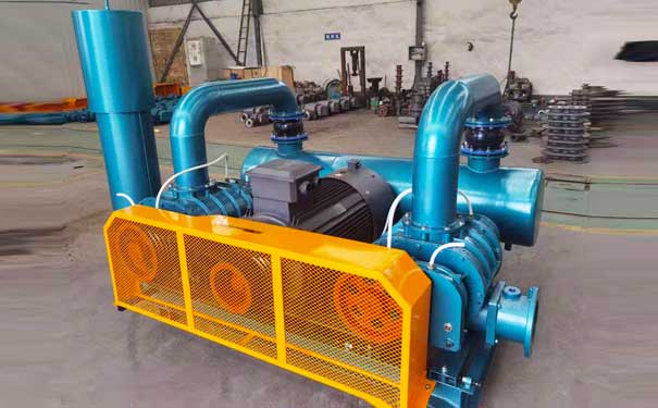 淺談羅茨鼓蜜桃视频网站APP的檢修保養需要注意的問題