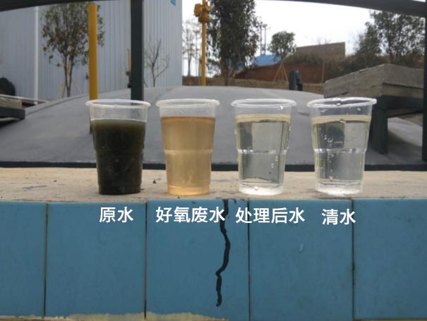 汙水曝氣羅茨鼓蜜桃视频网站APP應用案例