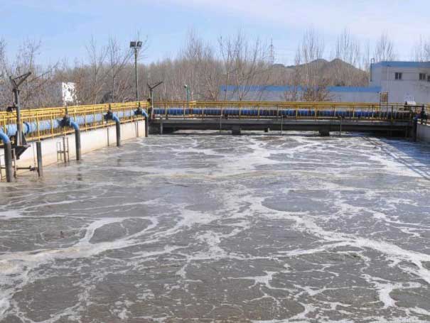 羅茨蜜桃视频网站APP汙水處理案例