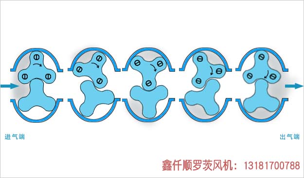 羅茨蜜桃视频网站APP工作原理