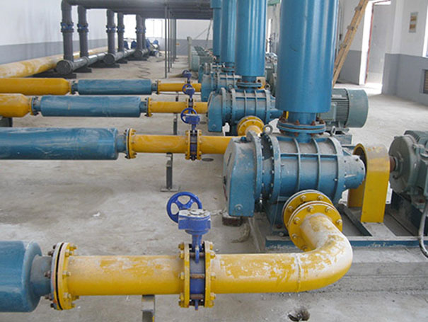 <b>化工行業用羅茨蜜桃视频网站APP沼氣輸送案例</b>