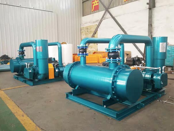 雙級串聯羅茨鼓蜜桃视频网站APP(圖2)