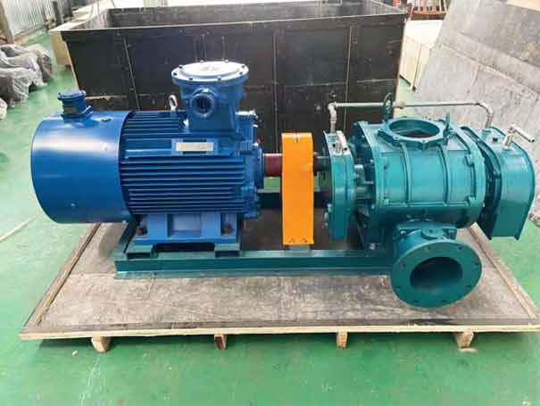 直連傳動式三葉羅茨鼓蜜桃视频网站APP(圖7)